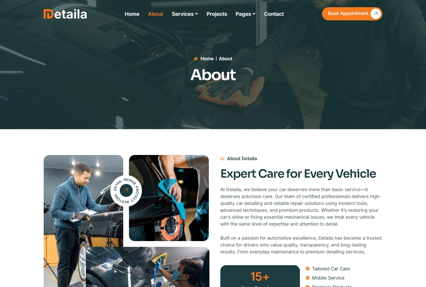 Detaila WordPress Elementor template About section layout
