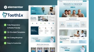1. Toothix Main Banner